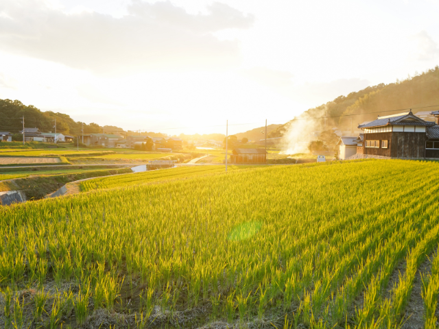 地産地消は食の原点。